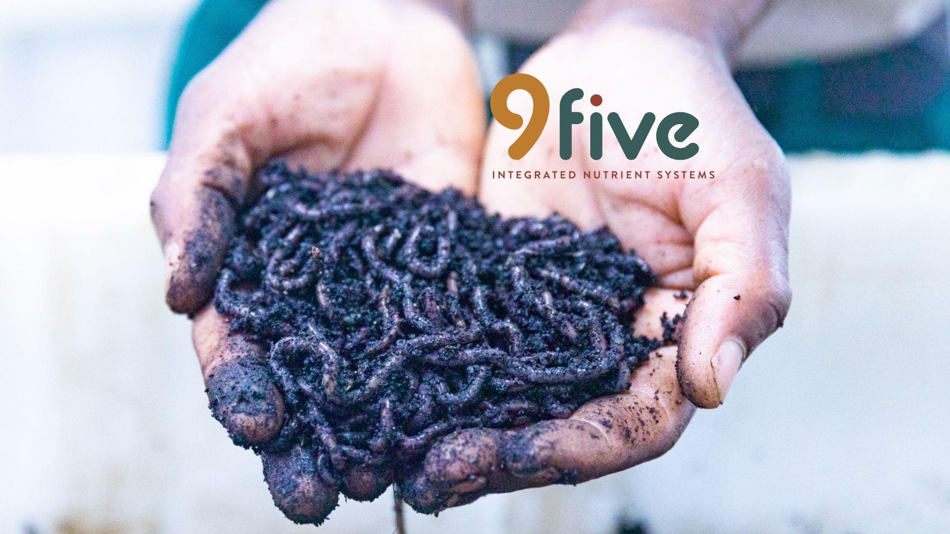9five: Restoring Soil, Rebuilding the Future of Farming