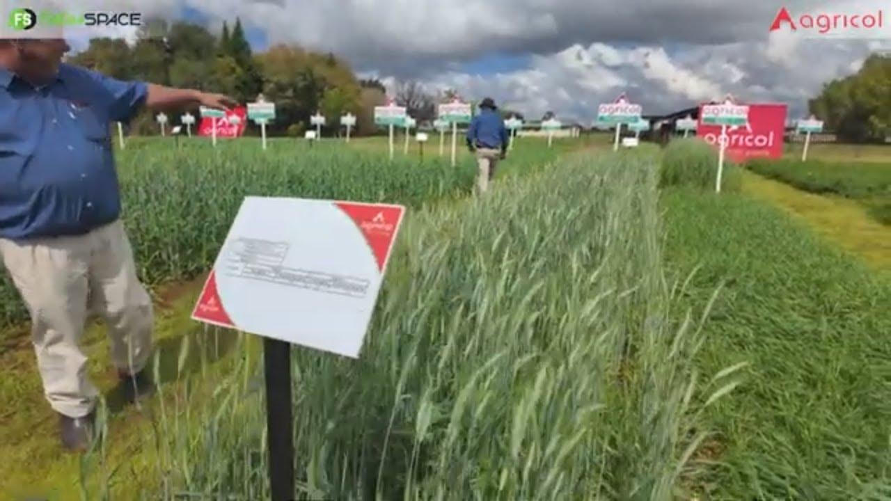 Wil jy weet waar pas Agricol se klein grane in jou boerdery in?
