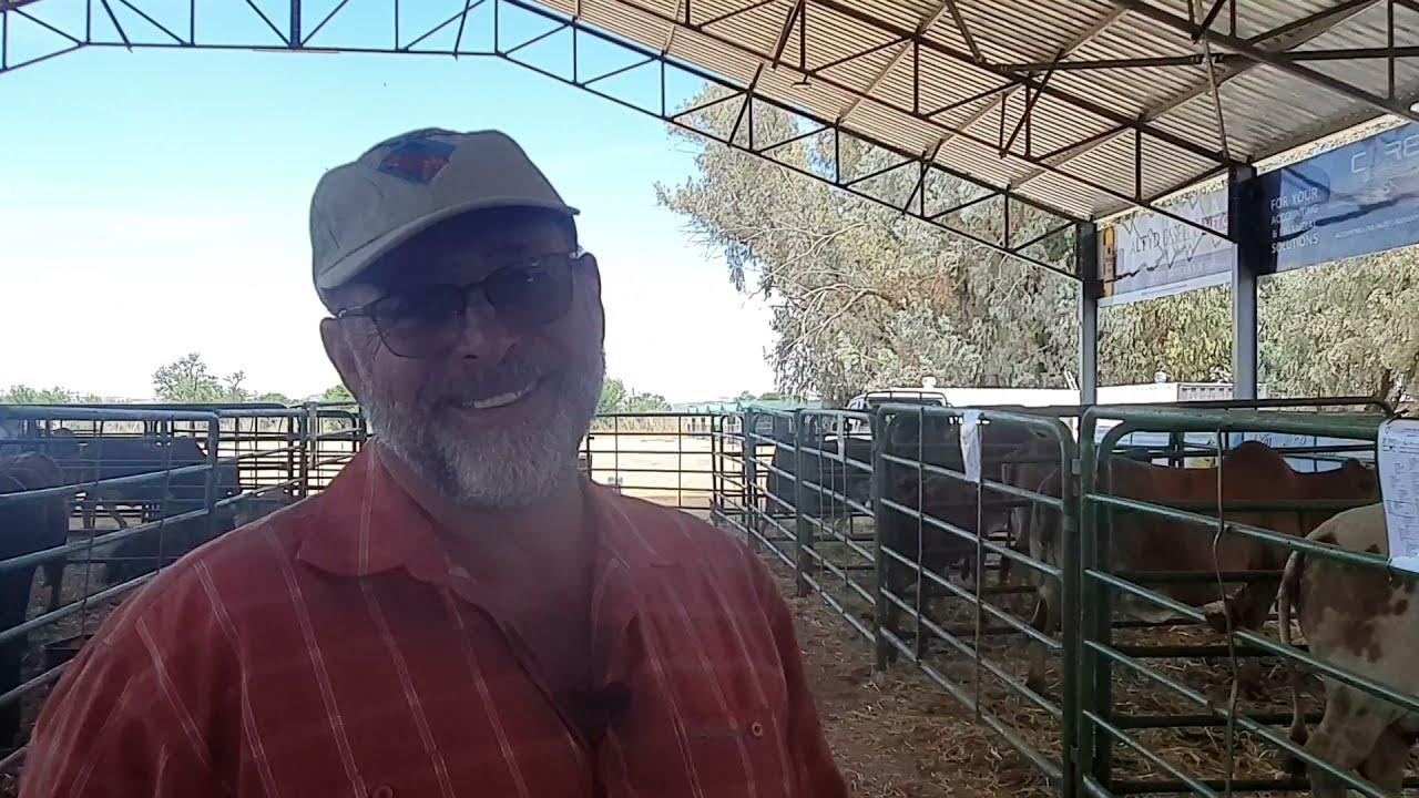 Wilhelm Allers praat oor sy aanbieding by Stockman's Elite