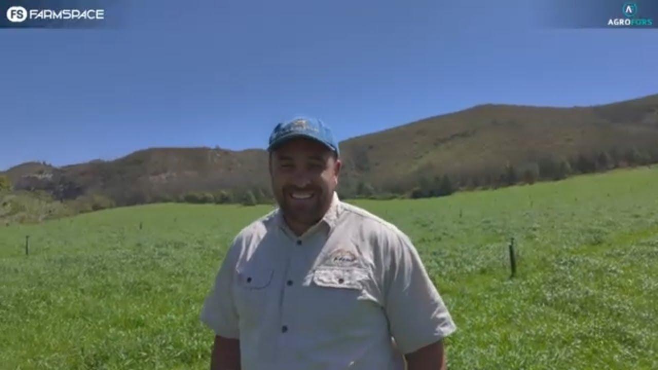 As jy weiding wil doen, is Agrofors 'n maatskappy waarna jy moet kyk?