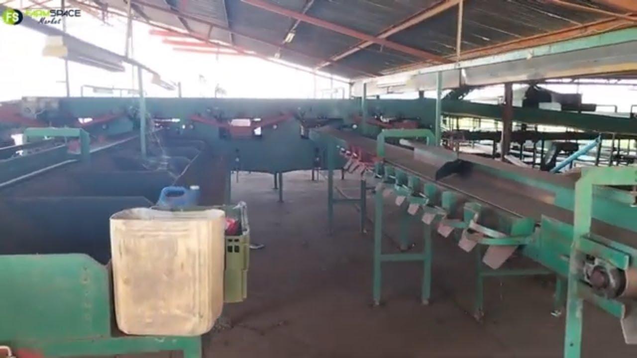 Volledige pakstoor in die mark op Farmspace Market, aangebied deur Potato Man.