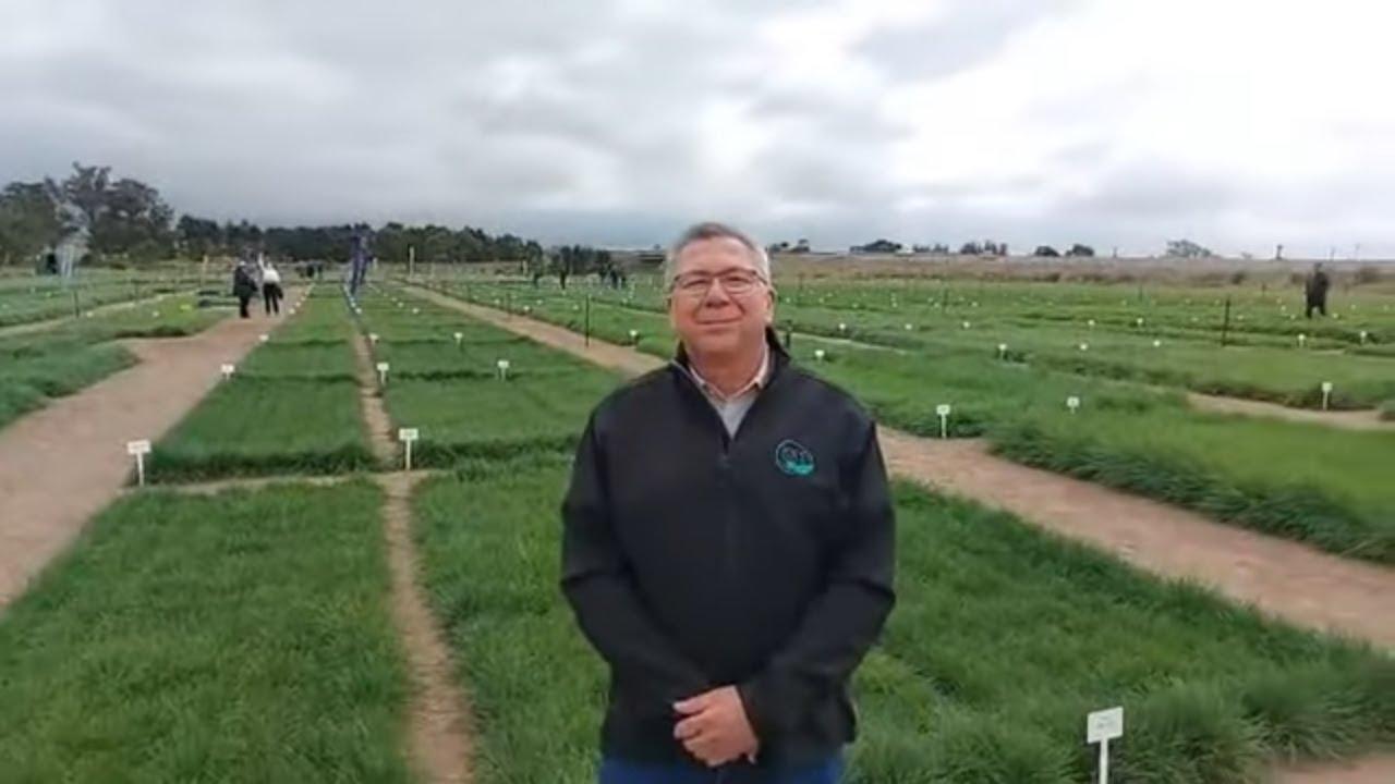 Hoe het Agrofors ontstaan en wat is die doel met hulle boeredag?