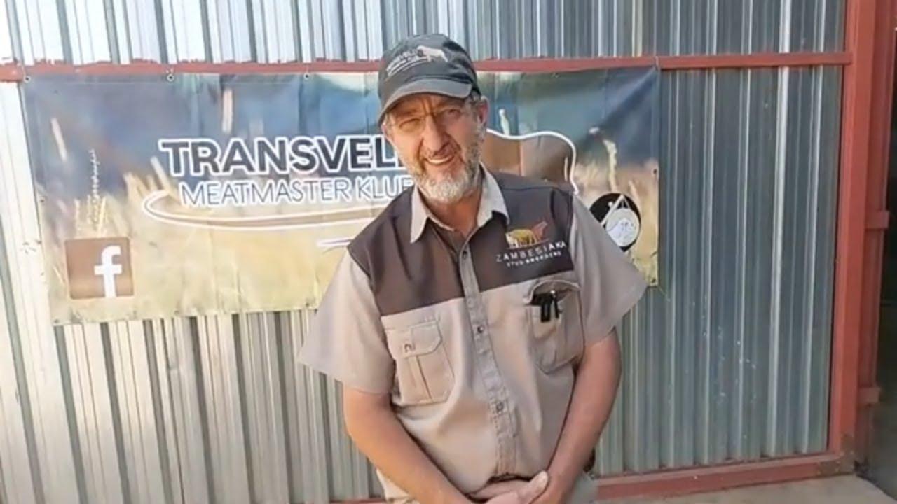 Wat hou die Flagship Veiling in hier by die Fire and Wine Arena? - Transveld Meatmaster Club