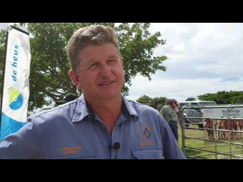 Christopher Havenga neem ons deur die Cape Prestige Borane Veiling 2021