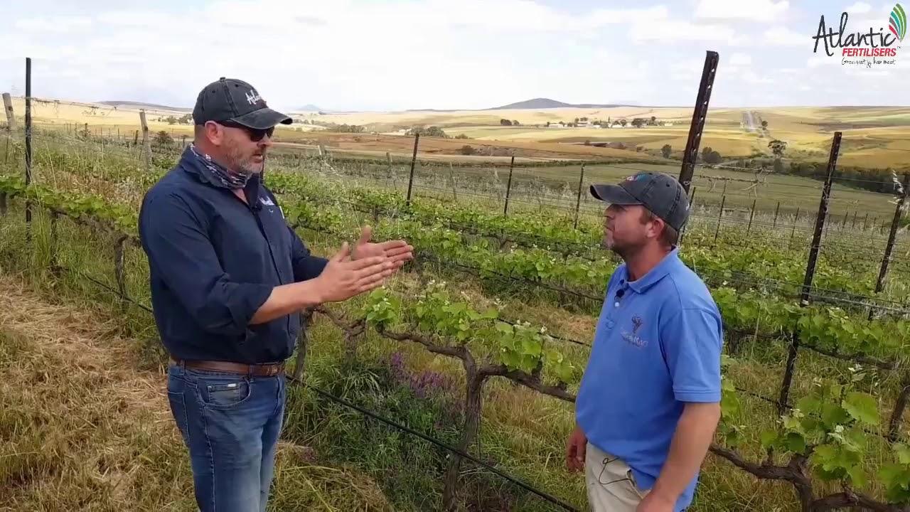 Atlantic Fertilisers Agri - Vishidrolisaat