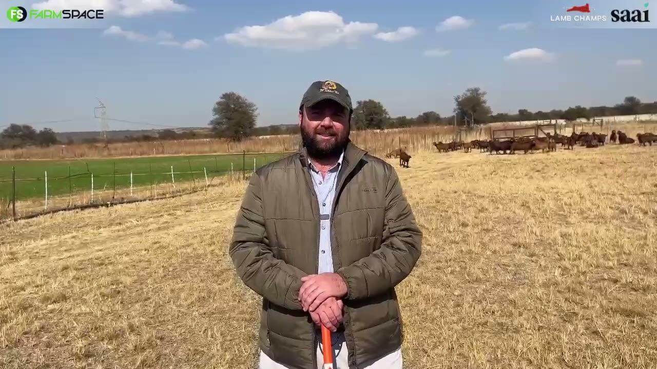 CW Dreyer van Kalahari Reds vertel ons hoekom hy n Kalahari Red ooi ingeskryf het vir Lamb Champs
