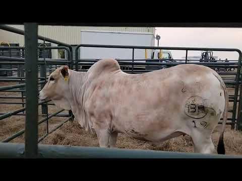 Christopher Havenga gesels oor die Hurwitz Farming Summer Sale