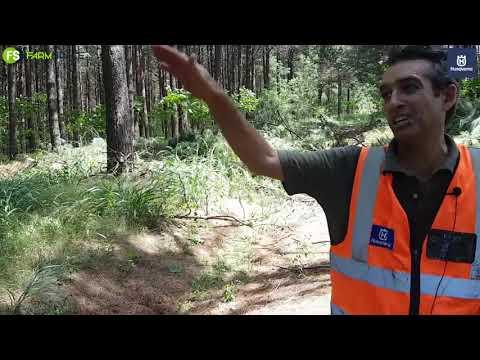 Barend oor Husqvarna Kettingsae in hul Boerdery