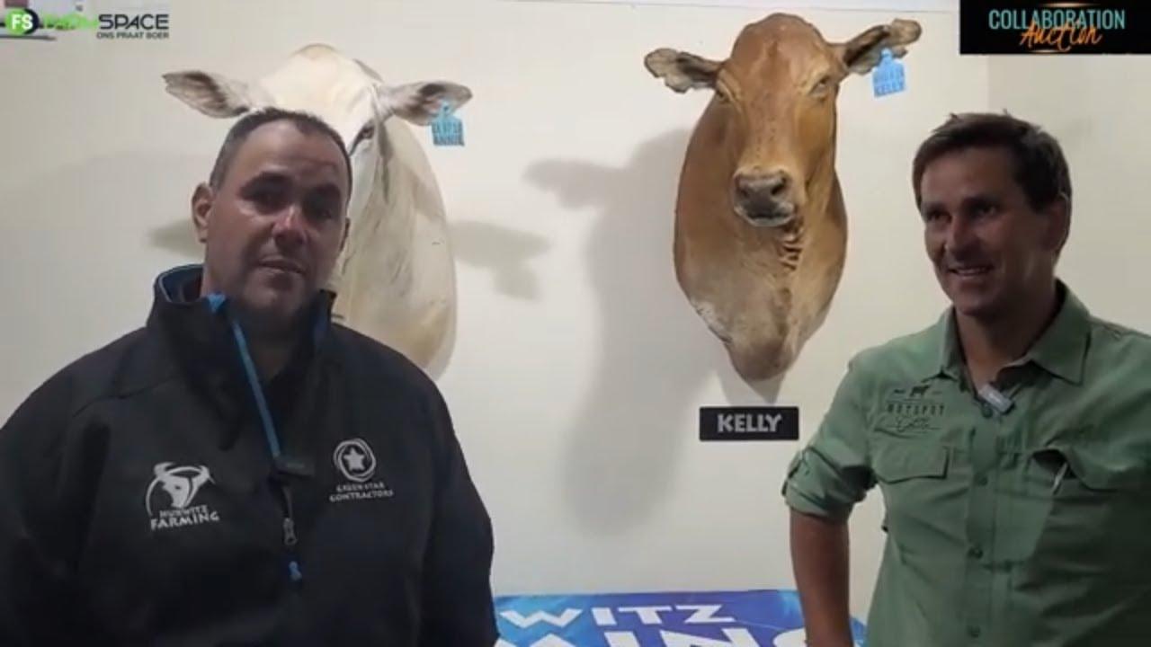 We are talking to Simeon and Stompie after a very successful Collaboration Auction