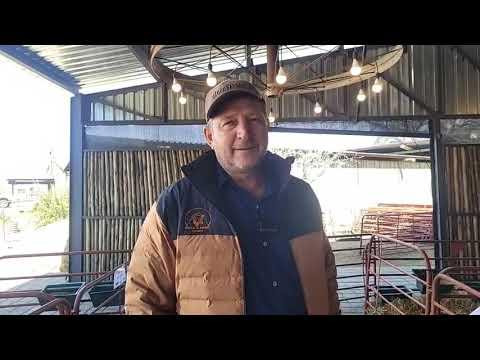 Abraham uit Venterstad by die Hatari Dormer Veiling 2023