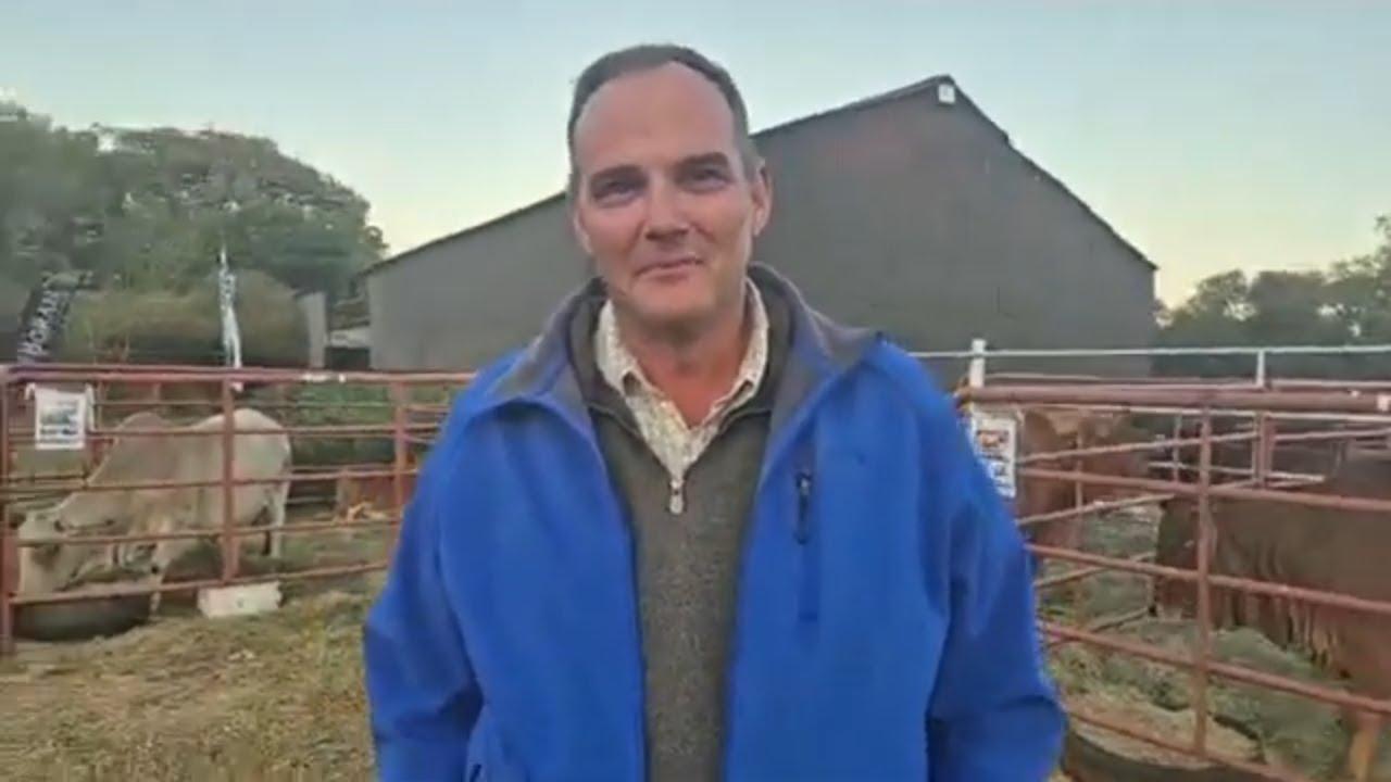 Gideon Botha van Kolskoot Borane het die Fonteine Borans voor veiling keuring hanteer.