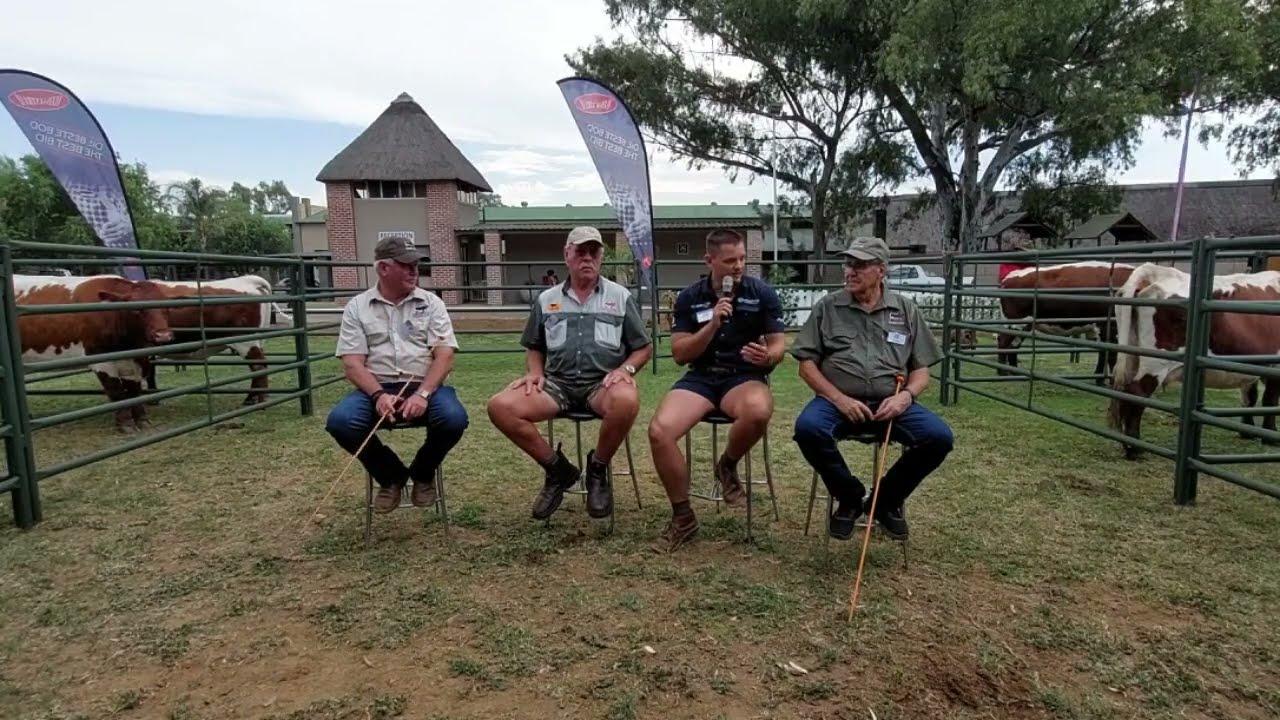 Chat 'n bietjie Pinzgauer