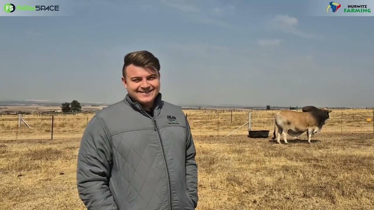 Sterkfontein Borane belê al jare in Hurwitz Genetika.