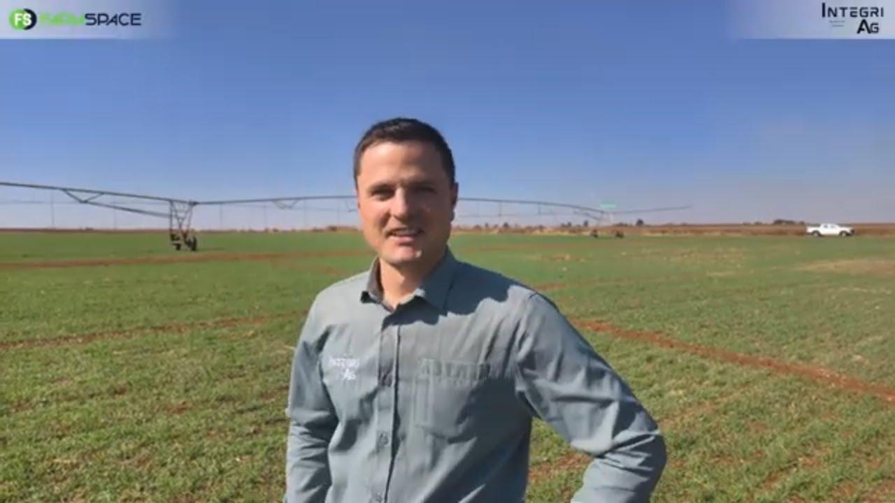 Soek jy n volhoubare manier om jou plante kos te gee?
