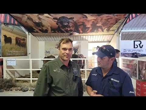 Nampo 2023 - Gouwsberg Tuli Stud
