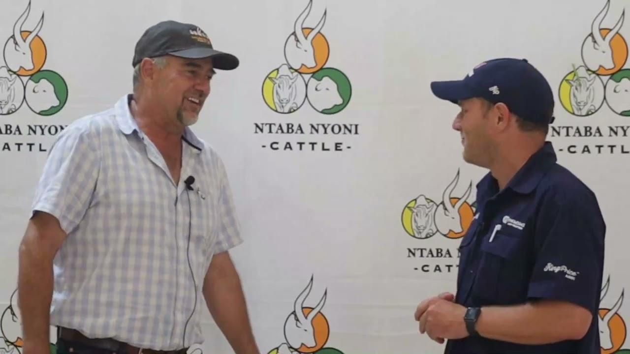 Francois van Fonteine Borane gesels oor die Ntaba Nyoni veiling