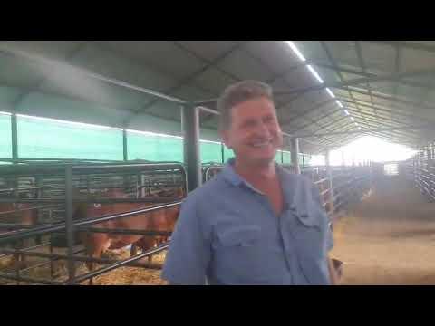 Christopher Havenga neem ons deur die Jabea veiling
