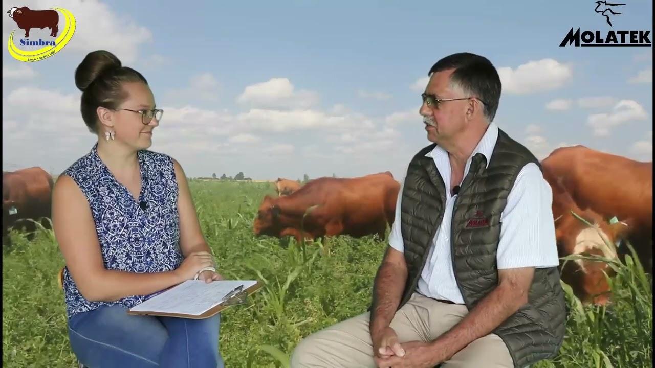 Simbra Saterdae - Deel 4 - Die Uitgroei van Bulle