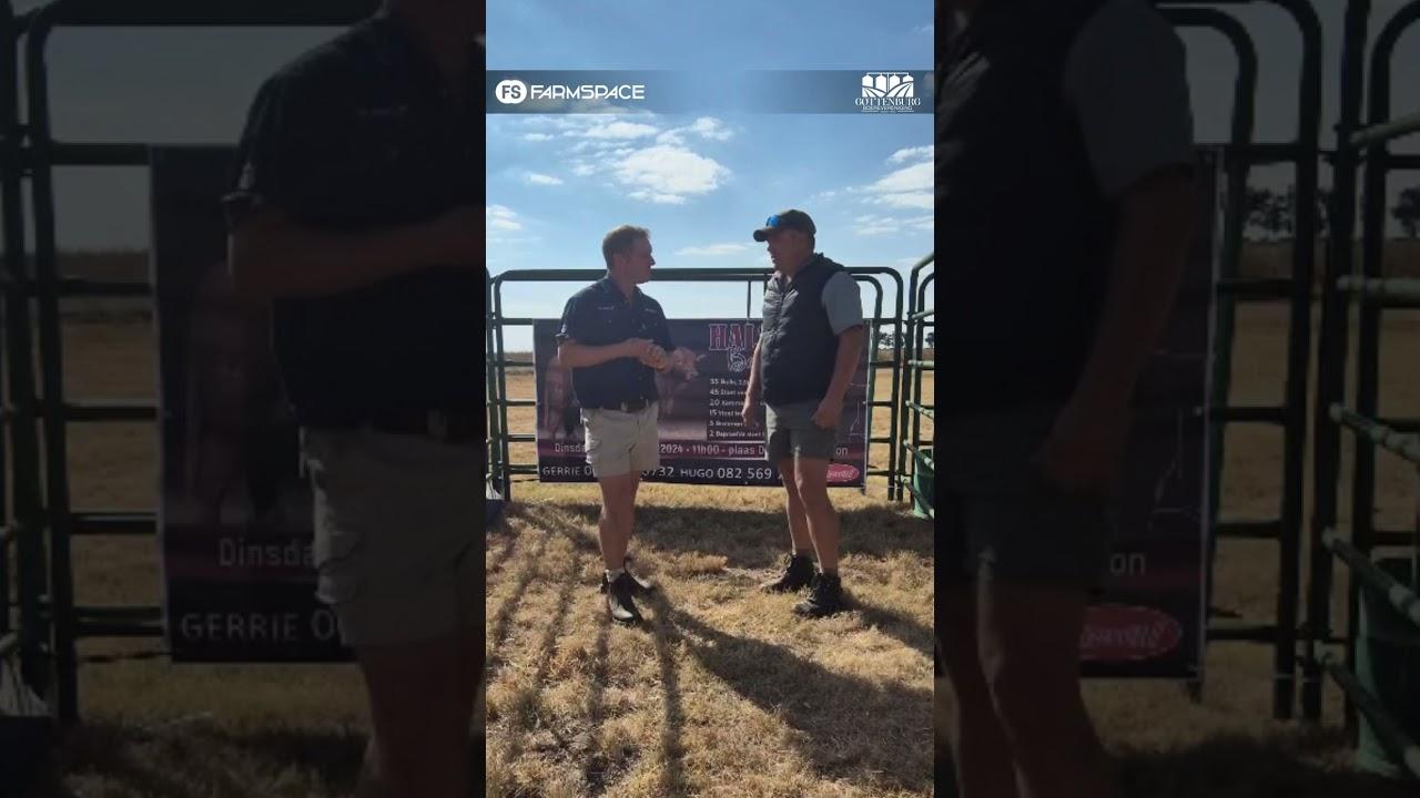 Kyk bietjie uit vir die veiling in Ermelo!