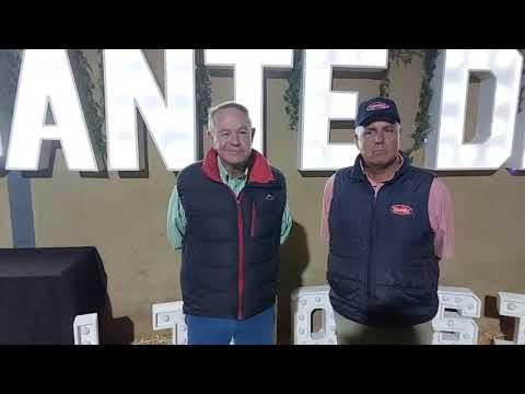 Johan van der Nest and Ben talk to us about the quality of cattle at Dante Deo Limousins Auction.