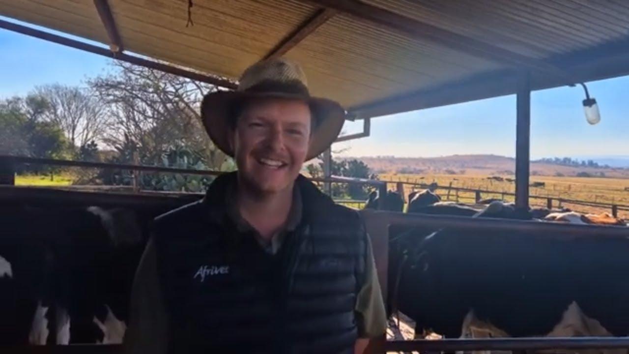 Raadop oor wat sal werk vir daai blou bosluise wat altyd op jou beeste sit?