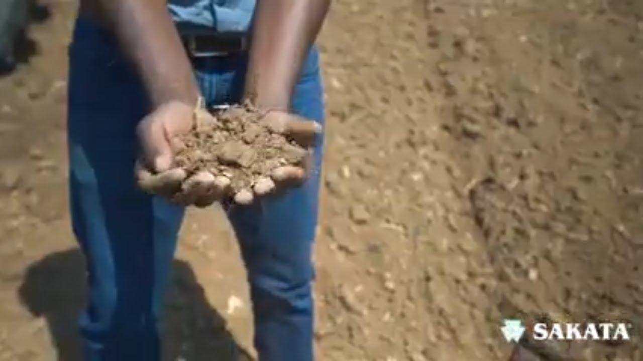#1 Why to Prepare Your Soil