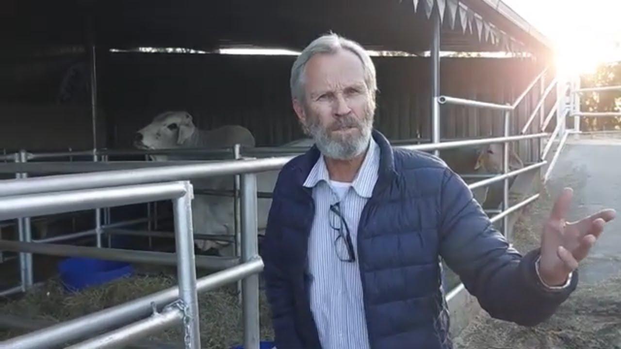 Wat 'n voorreg, ons kon uiteindelik vir Simon Hughes vasstrap by die Serfbred Brahmane se Veiling.
