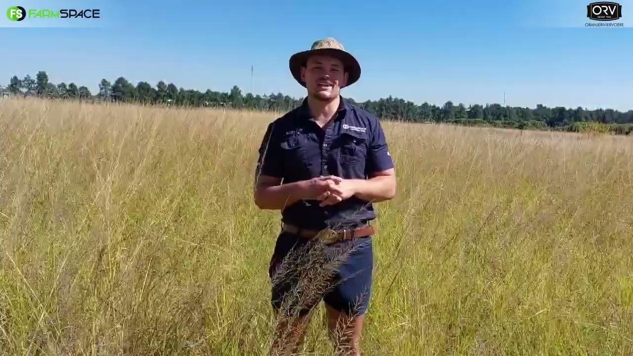 𝗢𝗥𝗩 𝗦𝗞𝗔𝗔𝗣 𝗕𝗢𝗘𝗥𝗘𝗗𝗔𝗚 📣 Moenie vanjaar die boeredag misloop nie...