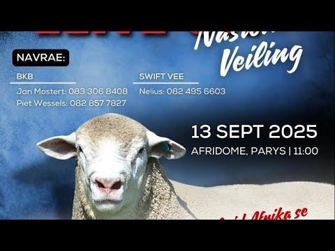 Is jy reg vir die hoogtepunt van die jaar?