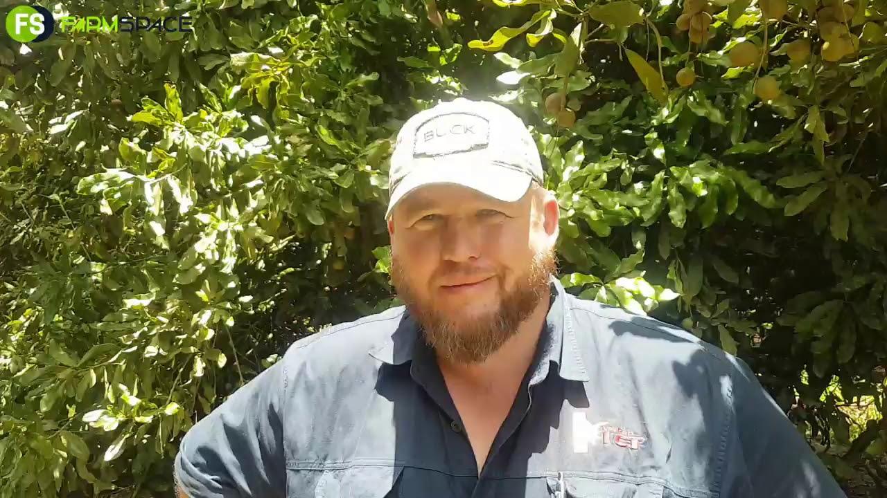 Loskop ICT gets a better fruitset 788 Macadamias