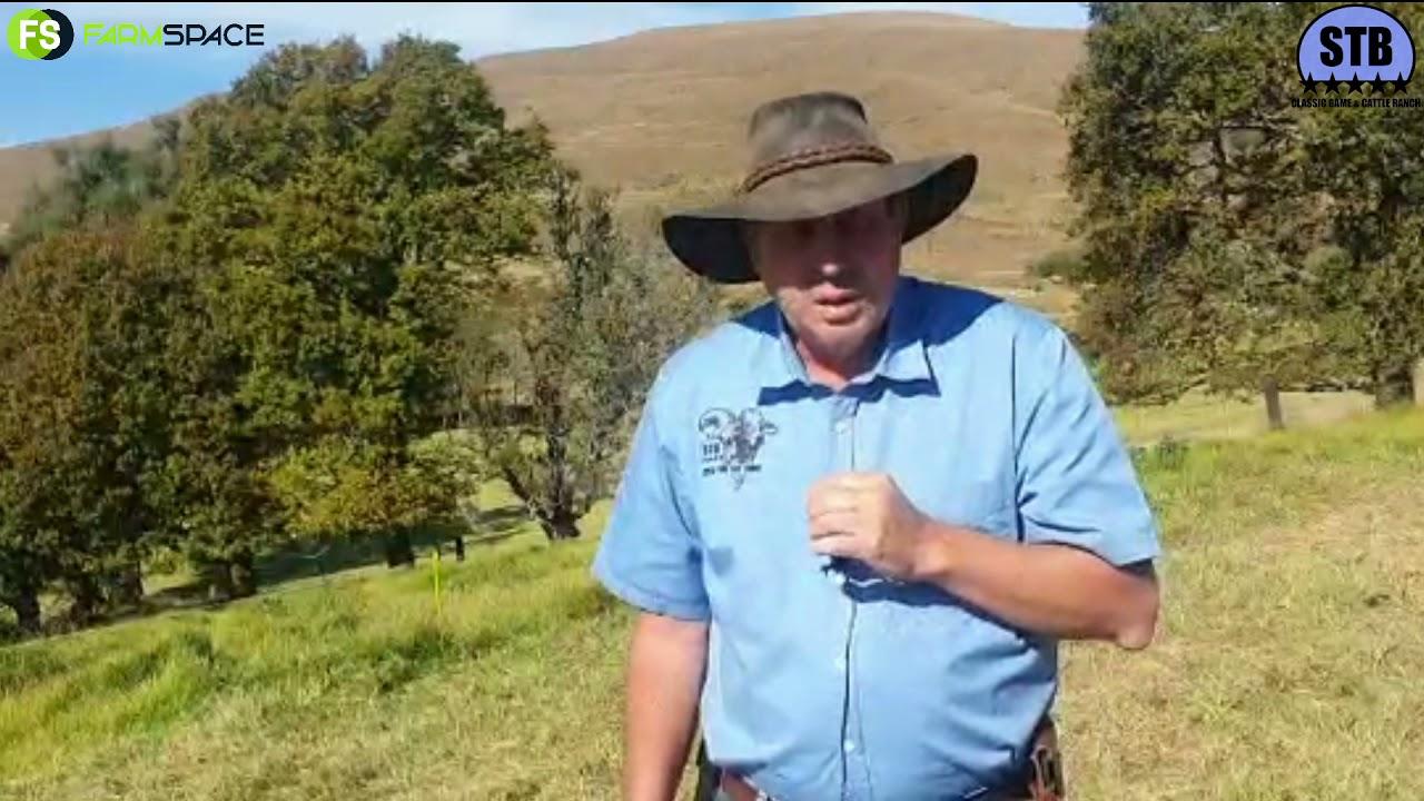 We chatted to Craig about Stey Braes, their history and their upcoming 24th Annual Auction