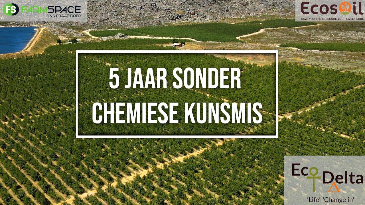 Hoe lyk 'n peer blok wat al vir 5 jaar geen chemiese kunsmis gekry het nie?