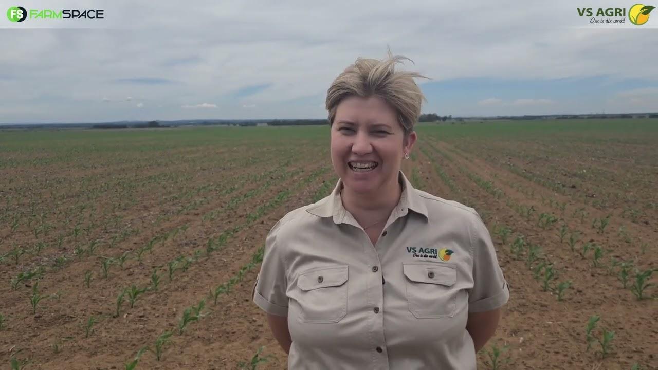 Kort jou mielies of sojas kos? VS Agri gaan jou uitsort.