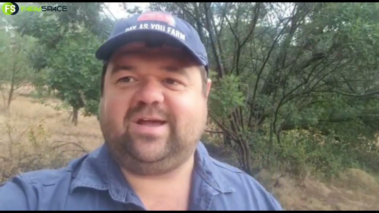 Sien jou by die Langspruit Beesdag, 29 Junie 2022, vanaf 08:30.