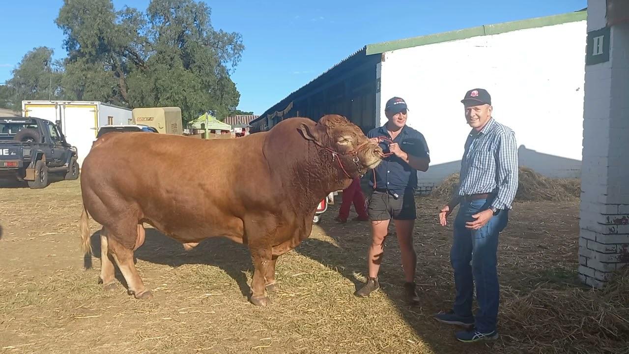 John Devonport and Xourel Italia at the Limousin National Championships 2022.