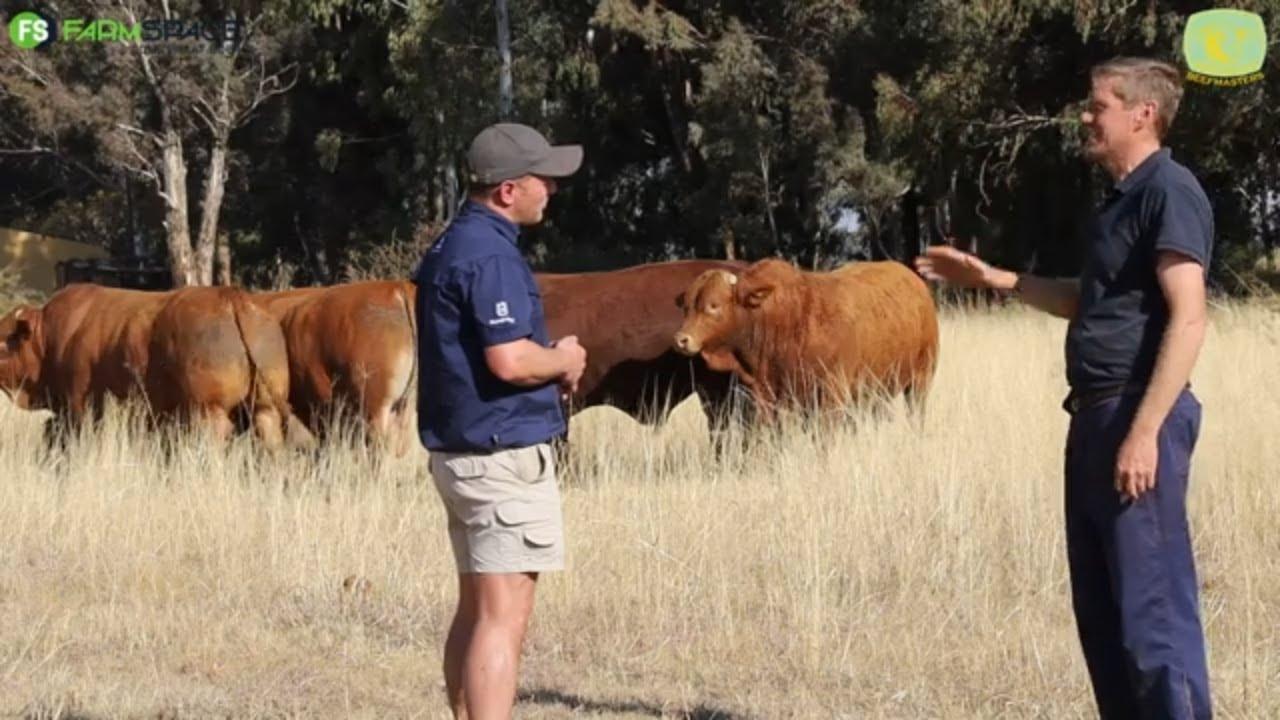 "Na-diens is vir ons die belangrikste" Victor Lourens van Rock Valley