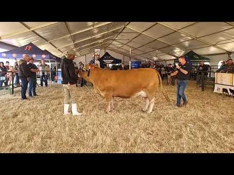 Interras bespreking met Christopher Havenga en Marius Barkhuizen by KragDag 2023.