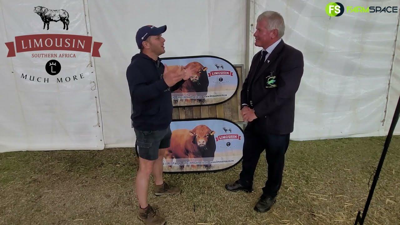Tinus gesels met Marius by Bloemskou oor die Limousins