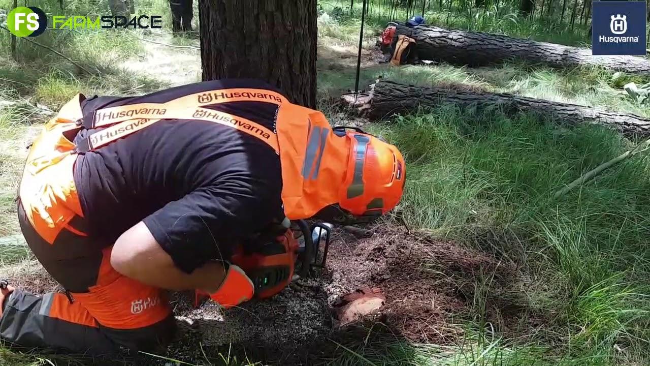 Laat val 'n boom met 'n Husqvarna Battery Kettingsaag
