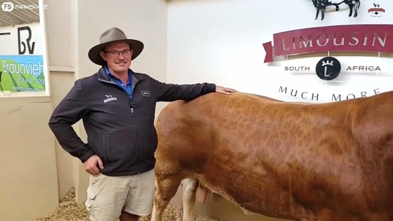 Hoor wat Derick van die Limousin Beestelersgenootskap oor die ras by Nampo 2022 te sê het.