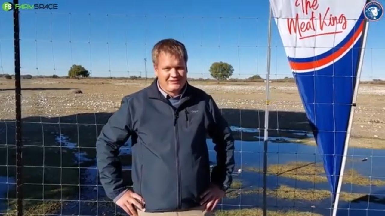 'n Terugflits na ons gesprek met Jannes by die Molopo Ile de France se 18de produksieveiling in 2024