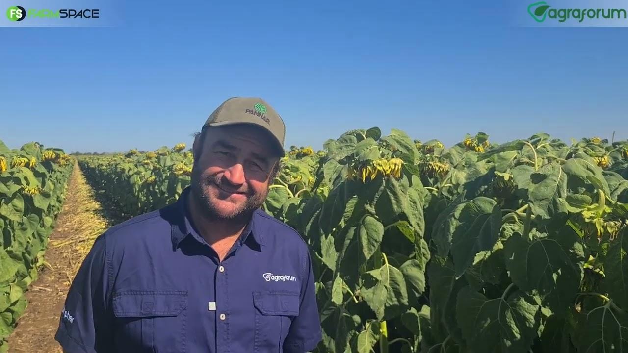 Hoe voeg AgraForum vir Genade Boerdery waarde toe? Gerhard verduidelik.