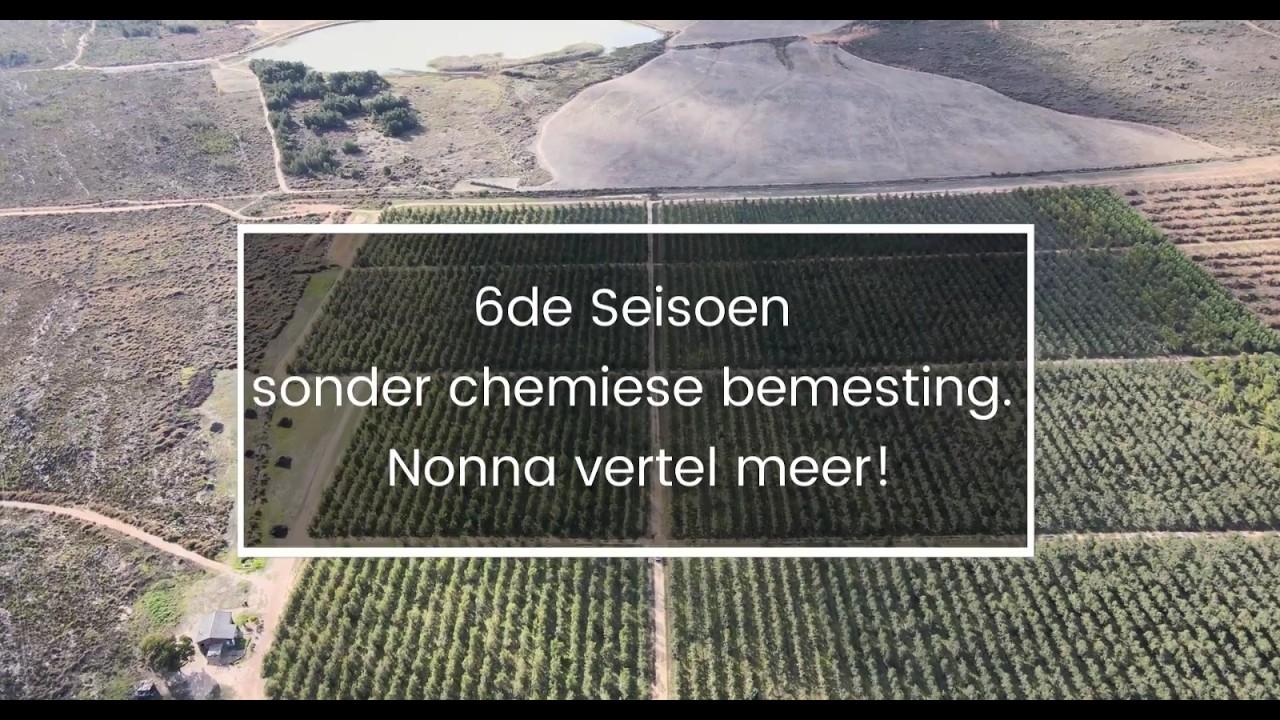6de Seisoen sonder chemiese bemesting. Nonna vertel meer!