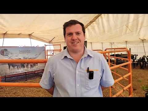 Steven Matthews van Karoo-Ochse Vryburg Edms Bpk gesels met ons oor  The Selection Sale.