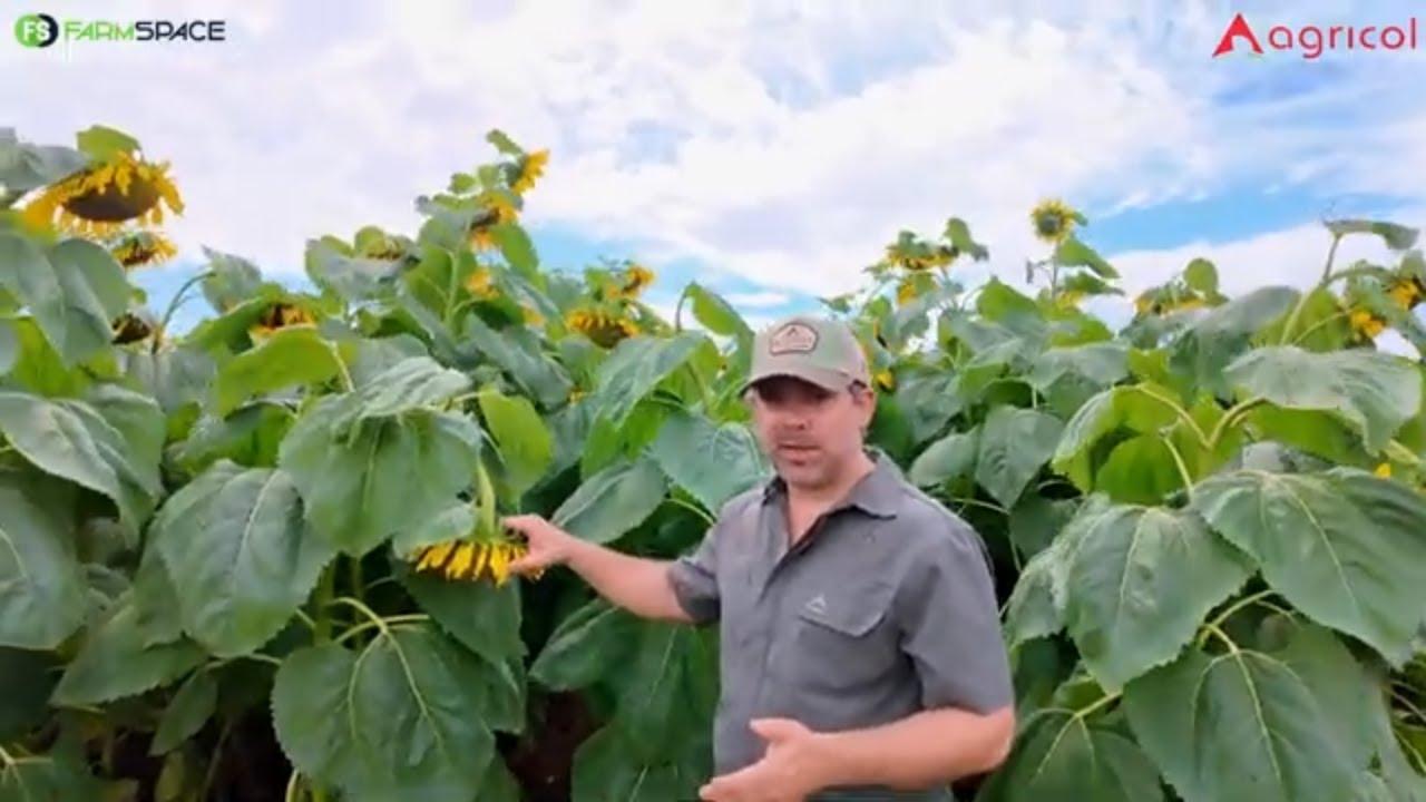Wat het Agricol als vir jou in hulle pakkie?