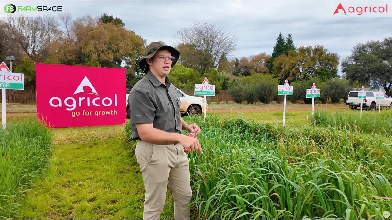 Hoe lyk Agricol se winter graan pakkie?