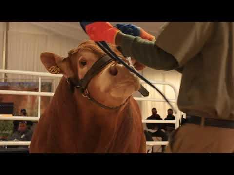 La Rhone Limousin Recap video 2021