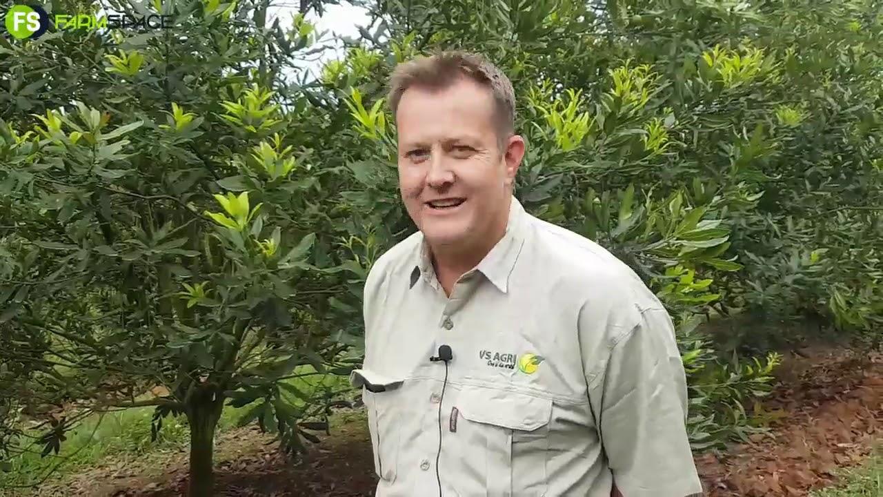 Avison - Riaan oor Organies en Semi-Organies in Macadamias