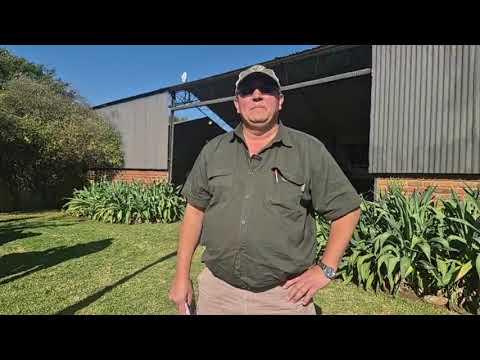 We spoke to Tony Brand from JB Borane after the Fonteine Borans Production Auction.