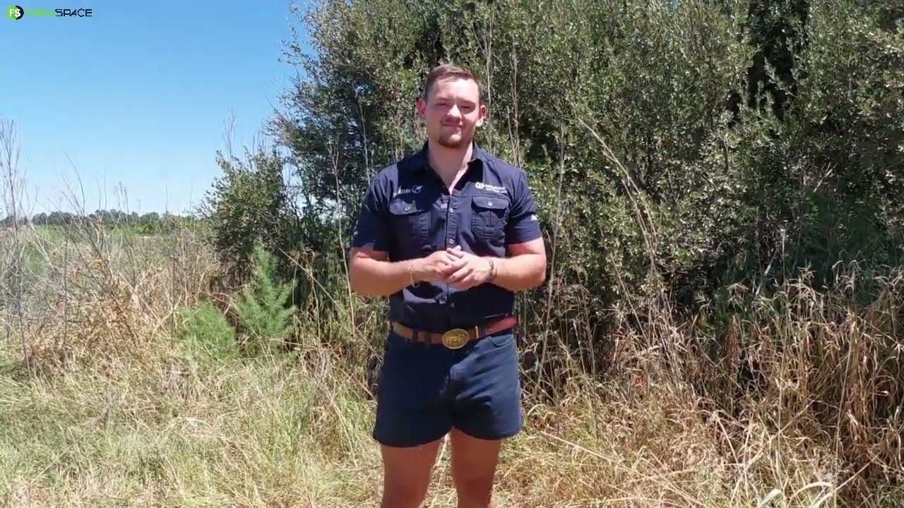 Dit is weer tyd vir die jaarlikse Steytlerville/Cockscomb wilds raffle